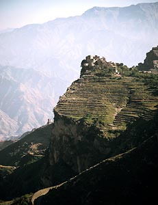 Yemen: Spectacular terracing in western mountains where arabica coffee and qat grow in western mountains fine art photographs copyright 2001 Brad Carlile